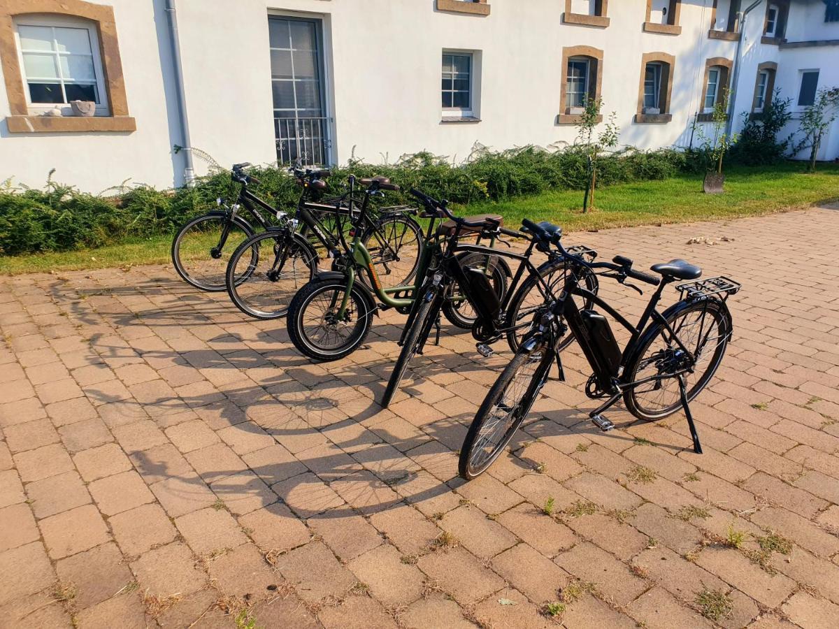 Grosse Bauernhaus Ferienwohnungen Bis 100Qm Mit E-Bike-Verleih Bad Rothenfelde Buitenkant foto